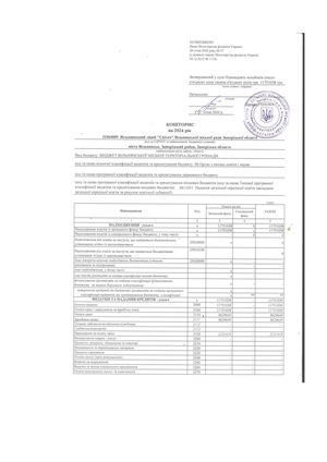 Кошторис 1031