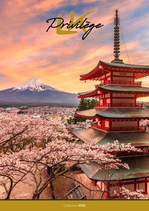 LK TOURS | BROCHURE LK PRIVILEGE