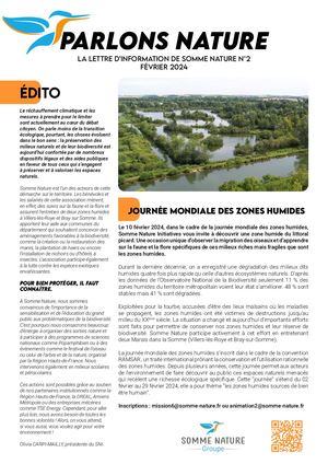 Newsletter N°2