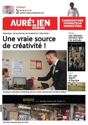 Cv Aurelien Redon Formateur Marketing