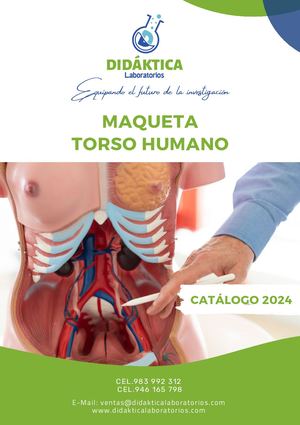 Catalogo Torso Humano PERU