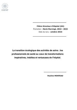 Mémoire P Monteau Vf