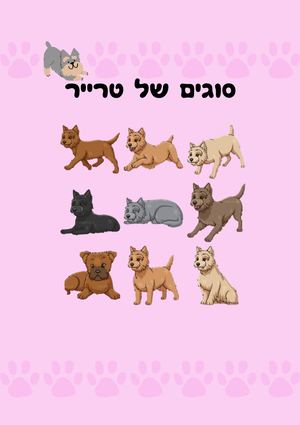 סוגים של טרייר