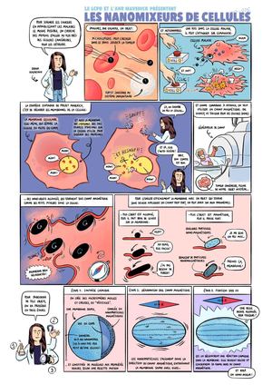 Le LCPO et l'ANR MAVERICK présentent : les nanomixeurs de cellules