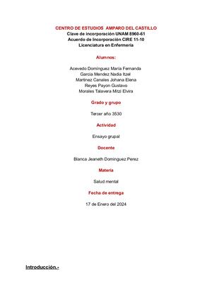 Ansiedad Infantil Ensayo