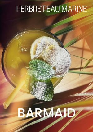 Cv Marine Herbreteau