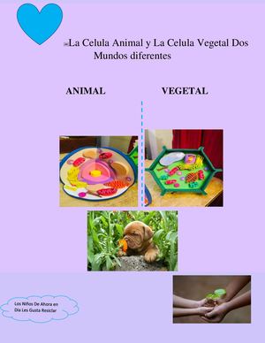 Revista Del Proyecto Núcleo Ciencia y Tecnología