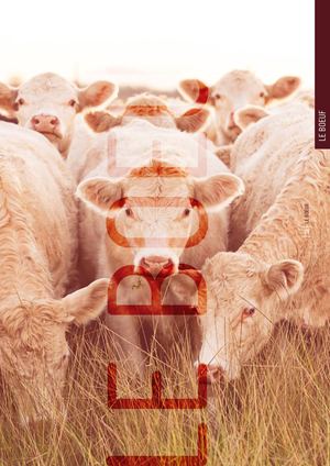 Catalogue Coop2024 - Partie Boeuf
