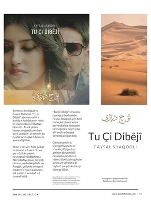 "Tu Çi Dibêjî" Faysal Shaqooli 2024