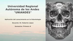 Universidad Regional Autonoma De Los Andes Uniandes