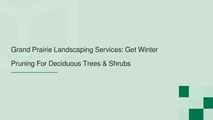 Grand Prairie Landscaping Services: Get Winter Pruning For Deciduous Trees & Shrubs