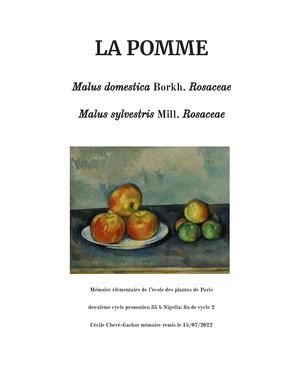 Pomme