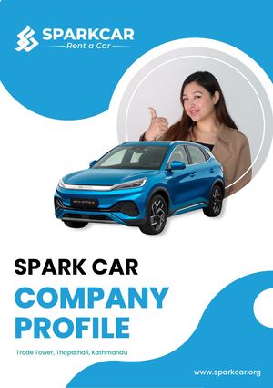 Spark Car Company Profile