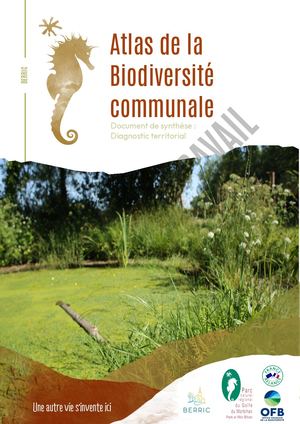 Berric Diagnostic Abc