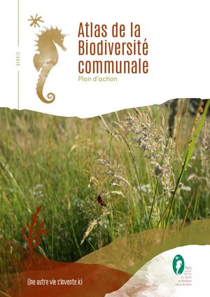 Berric Plan Action Abc