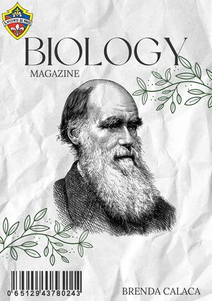 Revista