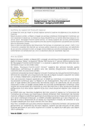 Budget annexe "services d’aménagement numérique" : budget primitif 2024