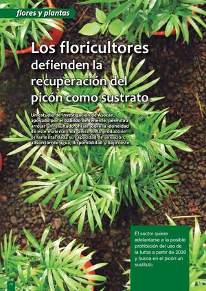 Revista 138 Art. Picón Sustrato