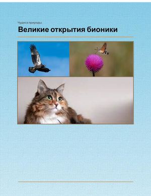 Чудеса природы