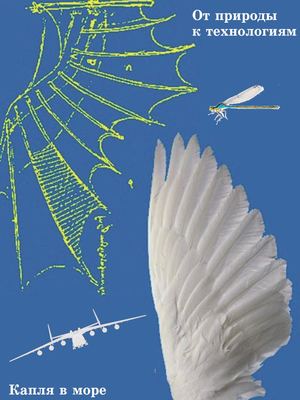 Bionika Kaplya V More