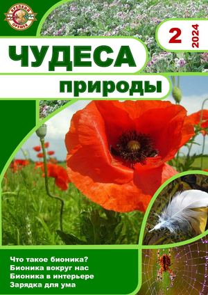 чудеса природы