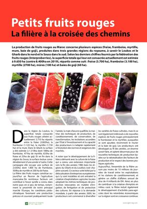 Dossier Fruits Rouges Mars 2020