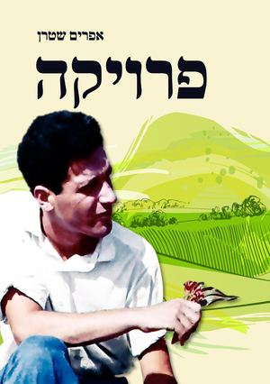 פרויקה אפרים שטרן דיגיטל