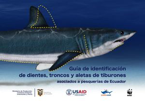 Guia Tiburones