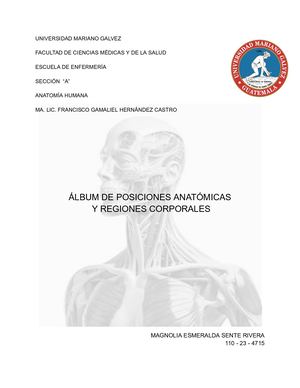 ÁLBUM DE POSICIONES ANATÓMICAS Y REGIONES CORPORALES