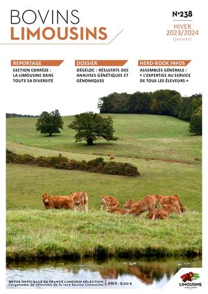Bovins Limousins 238 / Extrait