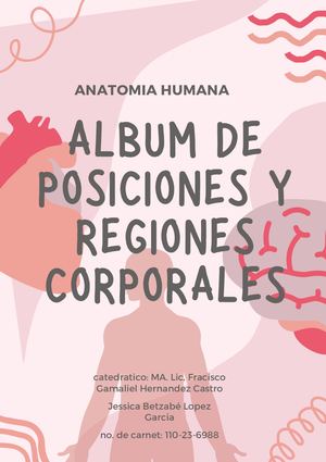 álbum de anatomía humana