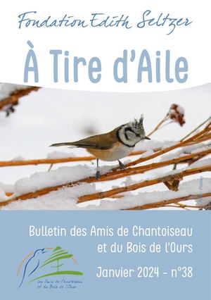 A Tire d'Aile - Janvier 2024