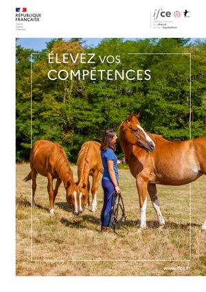 Elevez vos compétences.