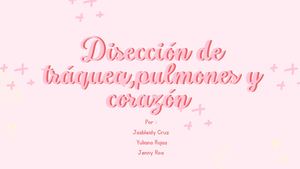 Album de disección de órganos de cerdo , Traquea , pulmones y corazón