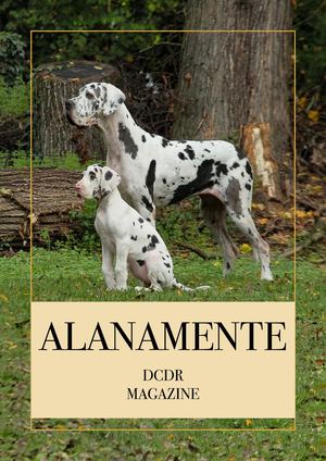 Rivista Dcdr Alanamente 1