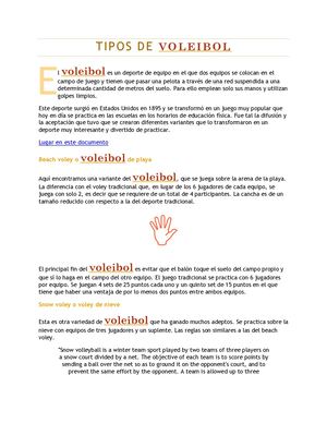 Tipos de Voleibol