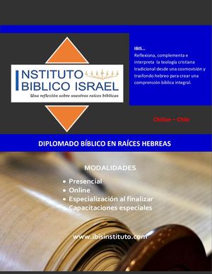 1 Brochure Diplomado Ibis