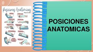 Presentacion De Posiciones Anatomicas 1