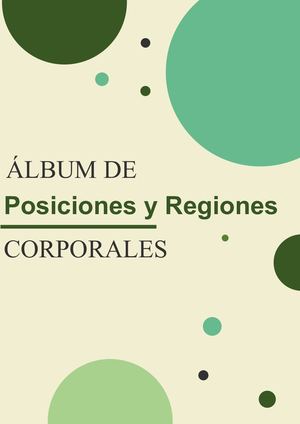 Posiciones Y Regiones Corporales