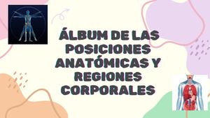 ÁLbum De Las Posiciones Anatomicas Y Regiones Corporales Susely Palencia 110 23 6422