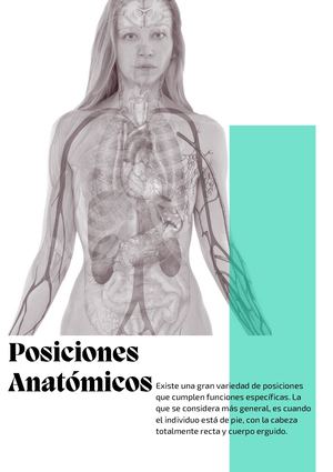 Revista Anatomica