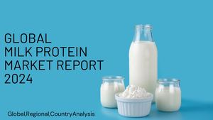 Milk Protein Market Report 2024