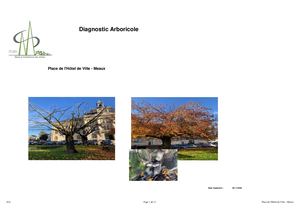 Meaux : diagnostique arboricole Place de l'hôtel de Ville