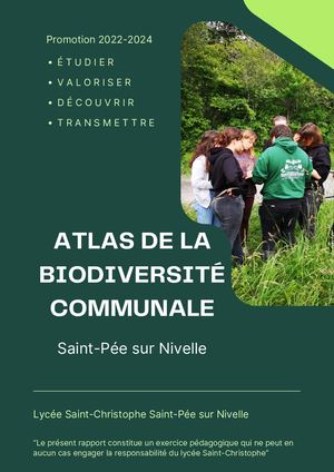 2023 2024 Abc Saint Pée Sur Nivelle