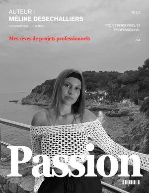 Magazine_PPP_Méline Desechalliers_Tp3 2 (2)