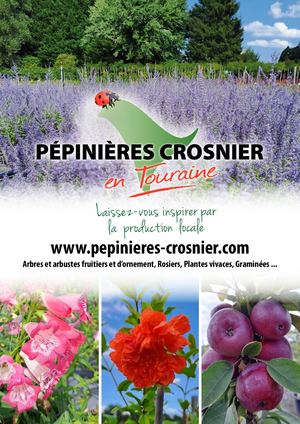 Pep Crosnier Catalogue Detail 2023 Couleur