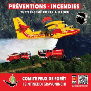 Corse Feux De Foret (5)