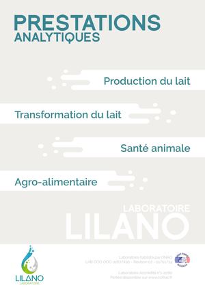 Catalogue Lilano 2024