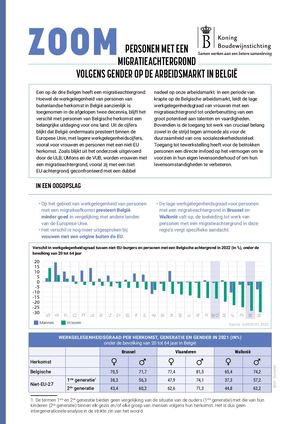 Zoom Migratie En Werk Nl Web