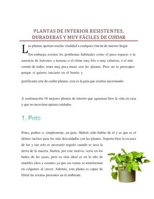 Reto 4 (1)